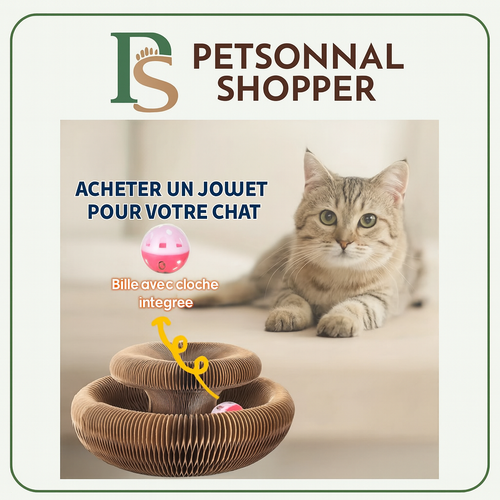 CatRing - jouet d’intérieur évolutif et stimulant