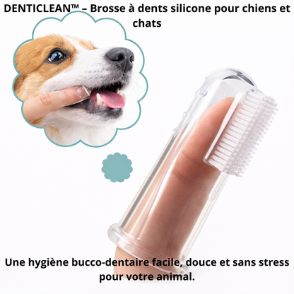 Denticlean™- brosse à dent douce