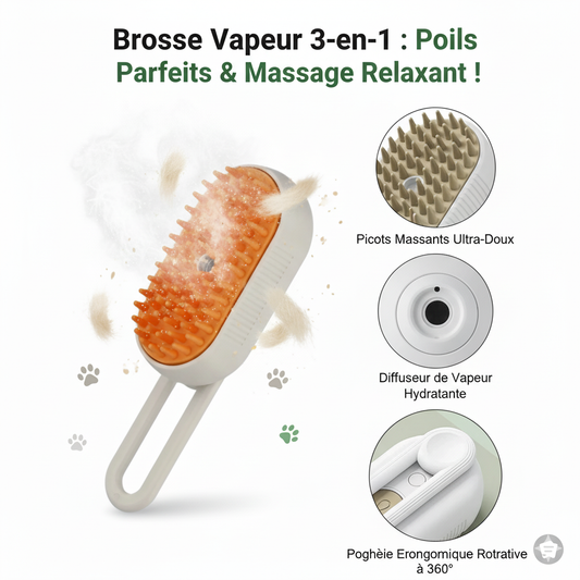 Clean Vap - Brosse Vapeur Désinfectante