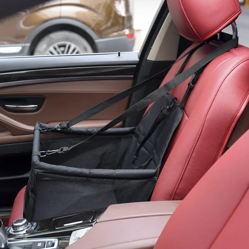 🚗Siège Auto Road Dog ! 🐾