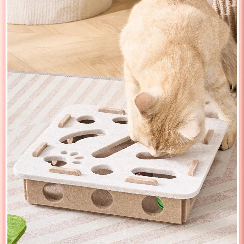 Puzzle ludique et éducatif pour chat