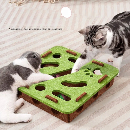 Puzzle ludique et éducatif pour chat