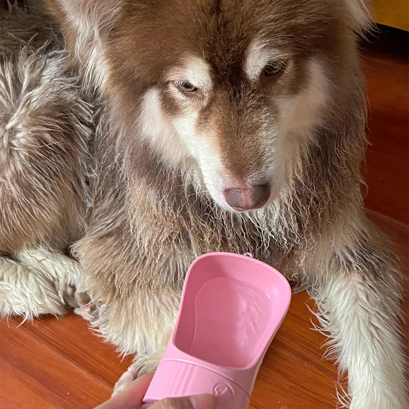 💧HydraPet - Gourde à eau et nourriture