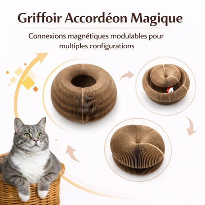 CATRING™ - jouet évolutif et stimulant