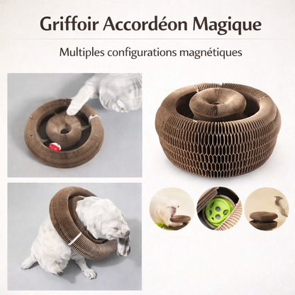 CATRING™ - jouet évolutif et stimulant