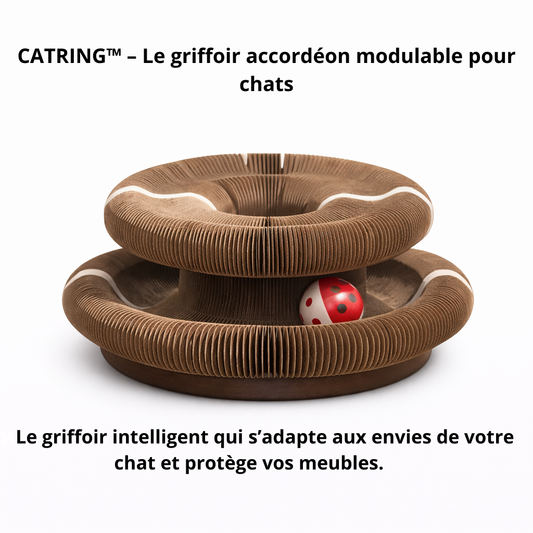 CATRING™ - jouet évolutif et stimulant